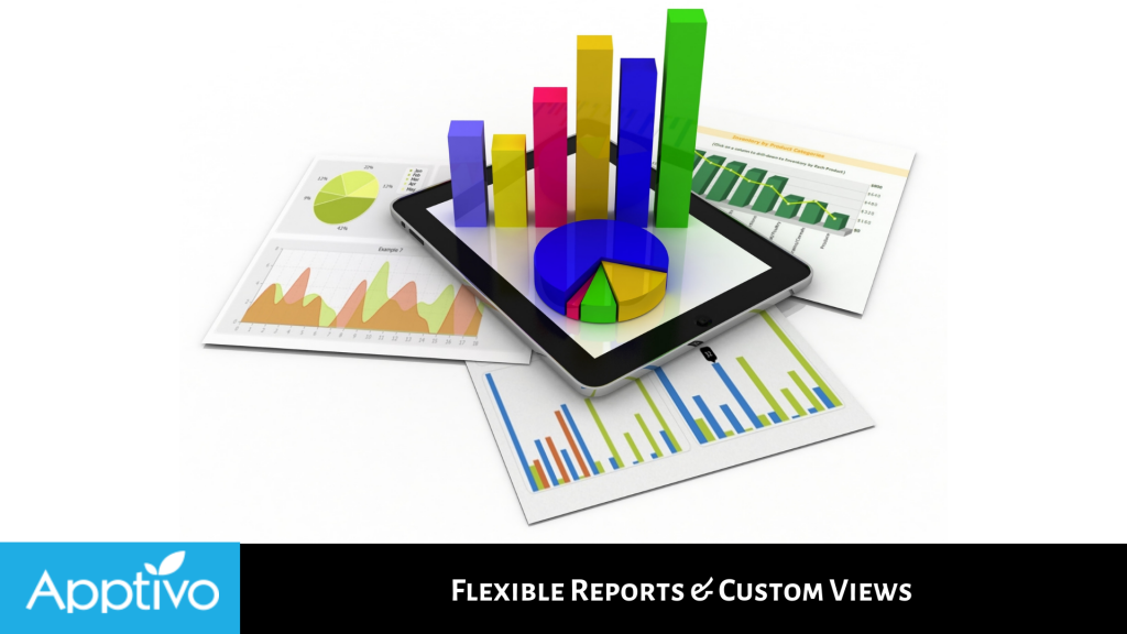 Flexible Reports & Custom Views